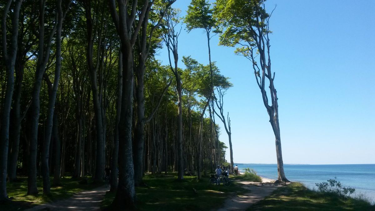 Urlaub im Ostseebad Nienhagen Urlaub im Ostseebad Nienhagen